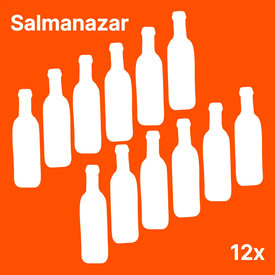 Salmanazar: the subscription for 12 bottles